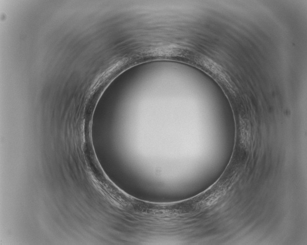 X0000060260486200511010917