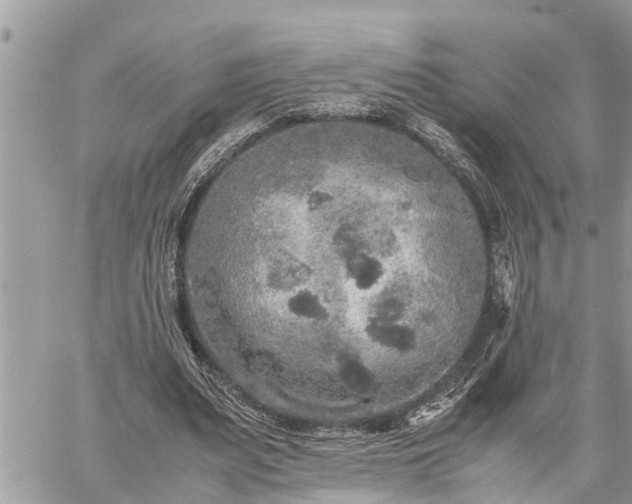 X0000060260487200511010917