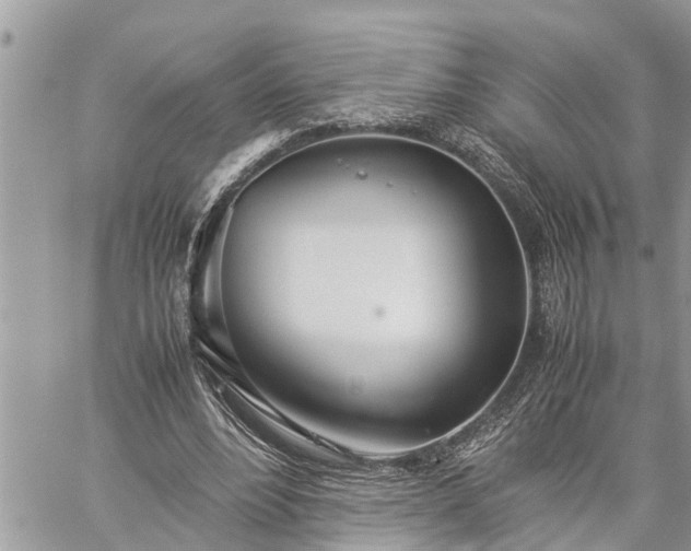 X0000060260488200511010917