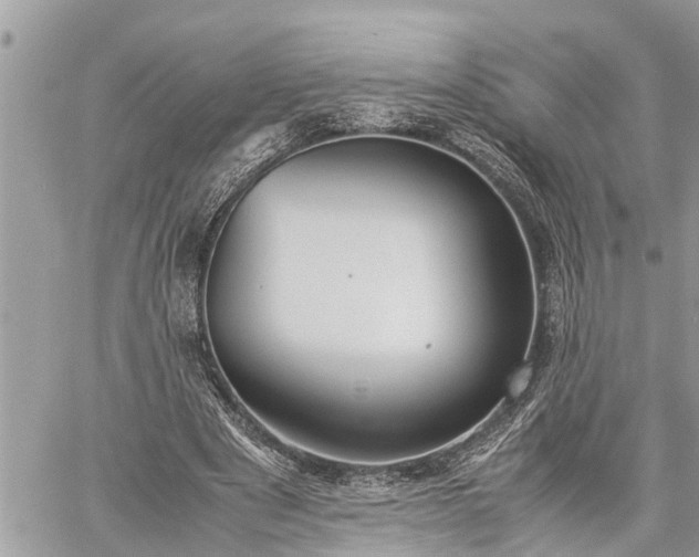 X0000060260489200511010917