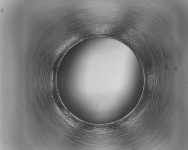 X0000060260490200511010917