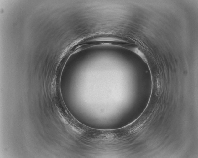 X0000060260492200511010917