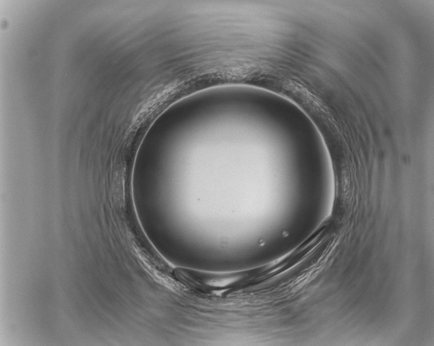 X0000060260493200511010917