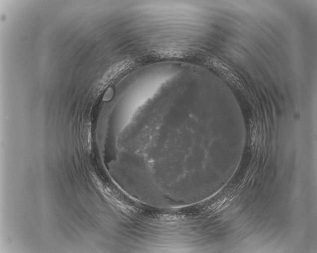 X0000060260494200511010917