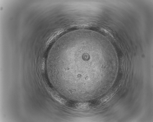 X0000060260495200511010917