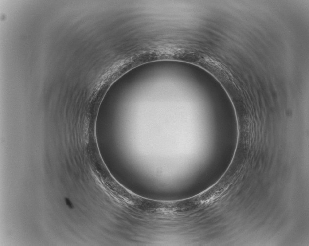 X0000060260496200511010917