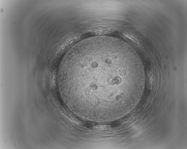 X0000060260499200511010916