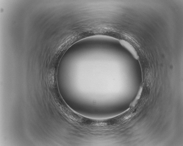 X0000060260501200511010916