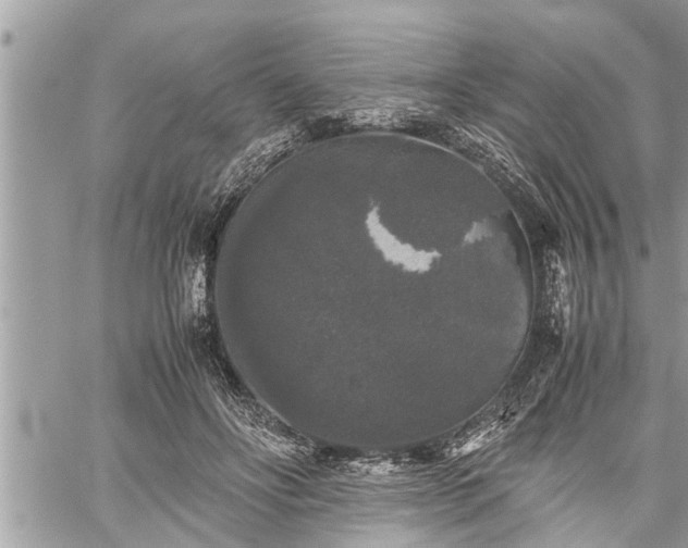 X0000060260502200511010916