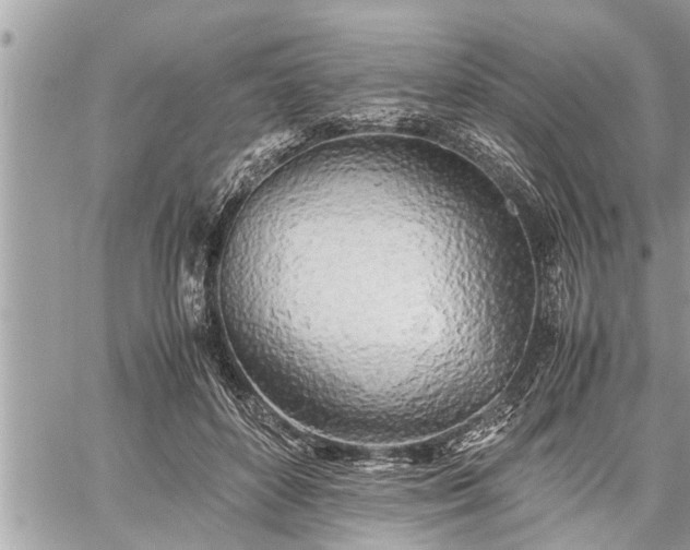 X0000060260504200511010916