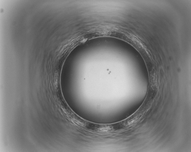 X0000060260505200511010916