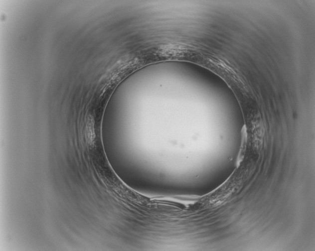 X0000060260508200511010916