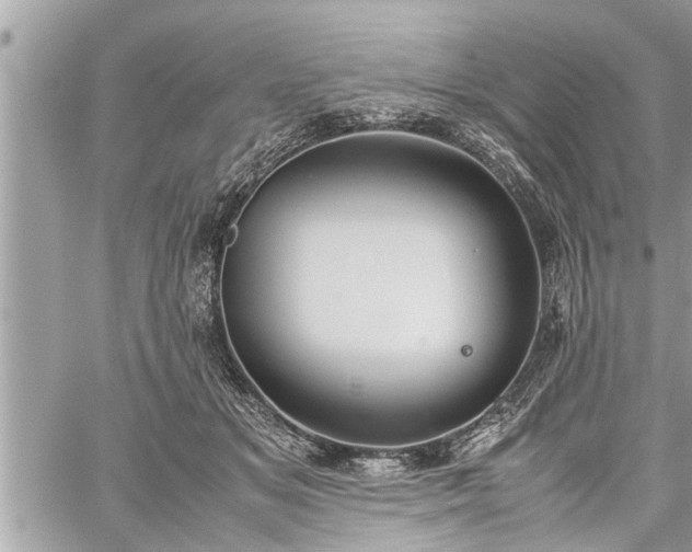 X0000060260509200511010916