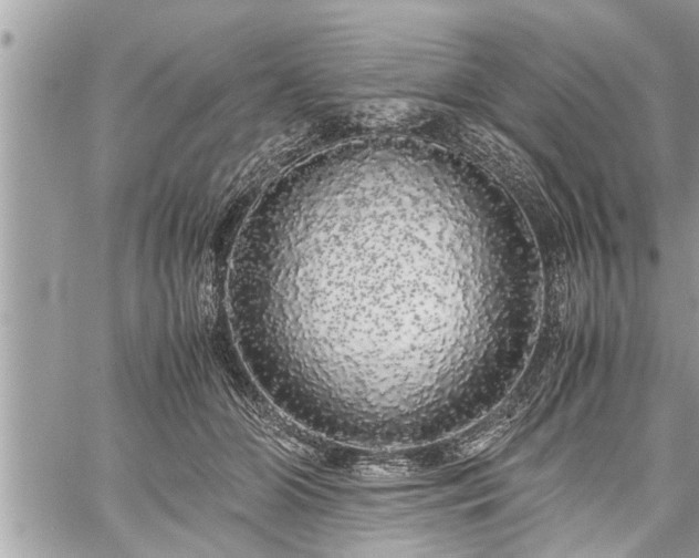 X0000060260510200511010916