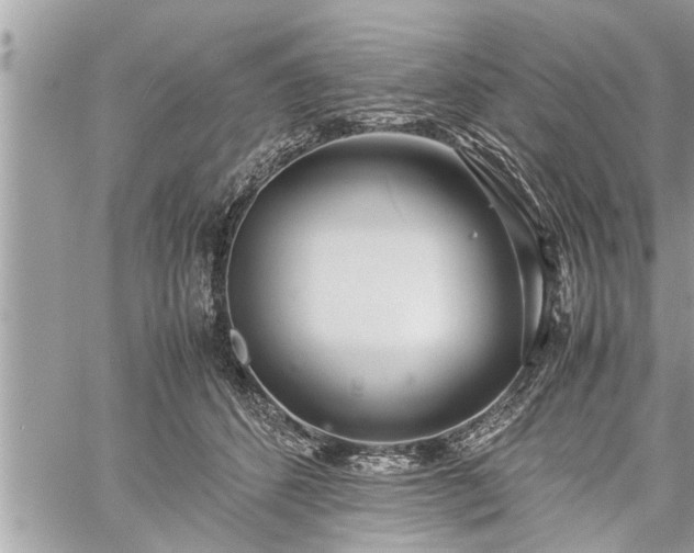 X0000060260512200511010916