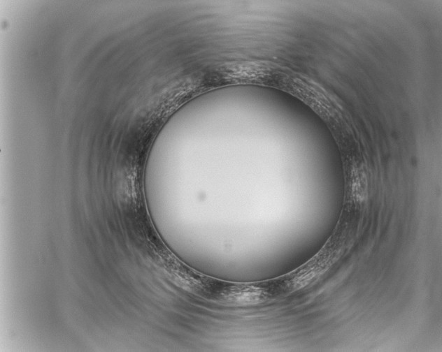 X0000060260514200511010916