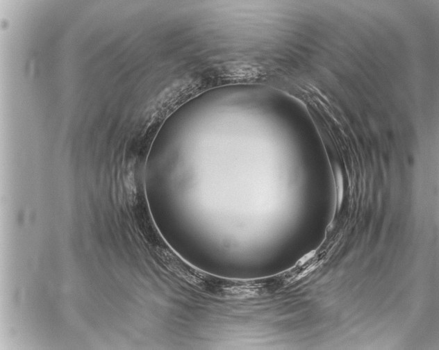 X0000060260516200511010916