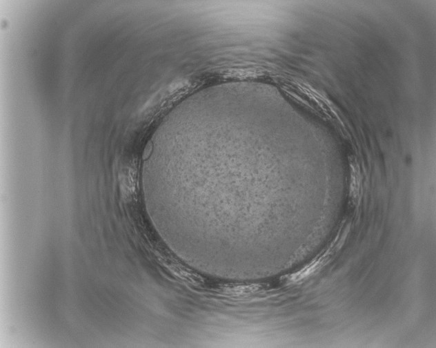 X0000060260517200511010916