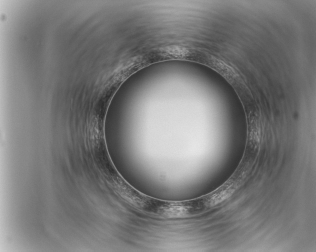 X0000060260518200511010916