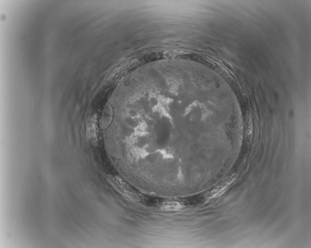 X0000060260519200511010916