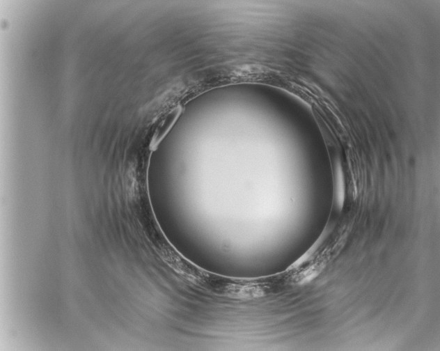 X0000060260520200511010916