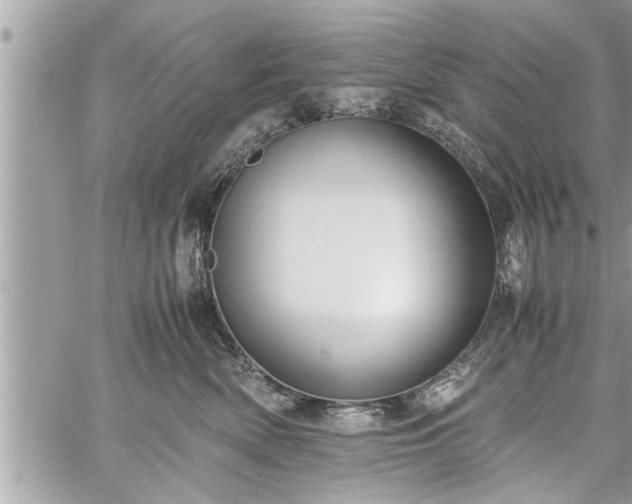 X0000060260522200511010916