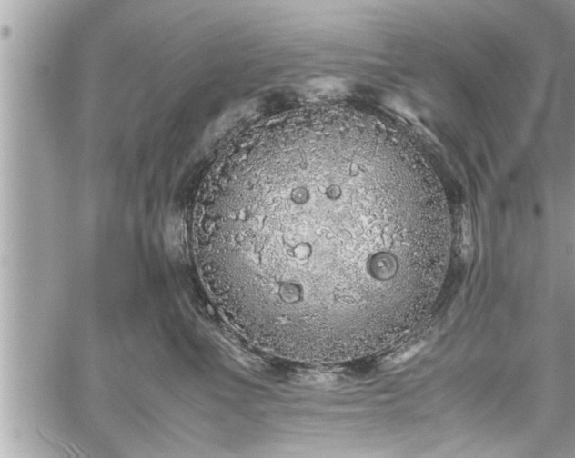 X0000060260523200511010916