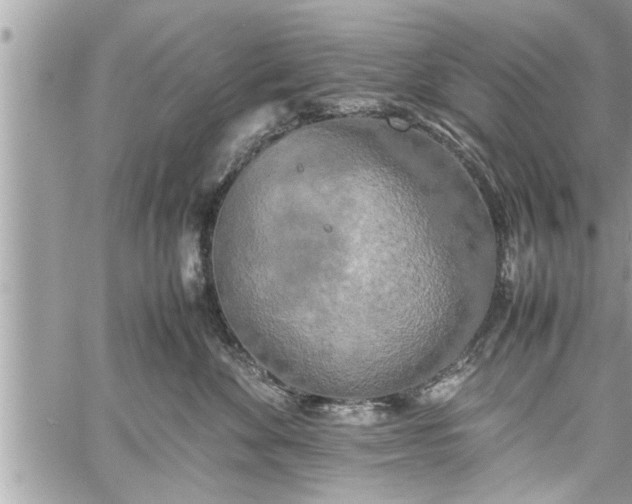 X0000060260524200511010916