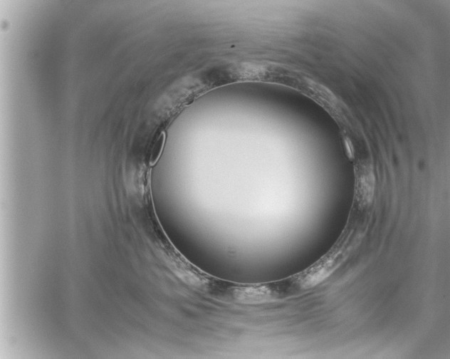 X0000060260525200511010916