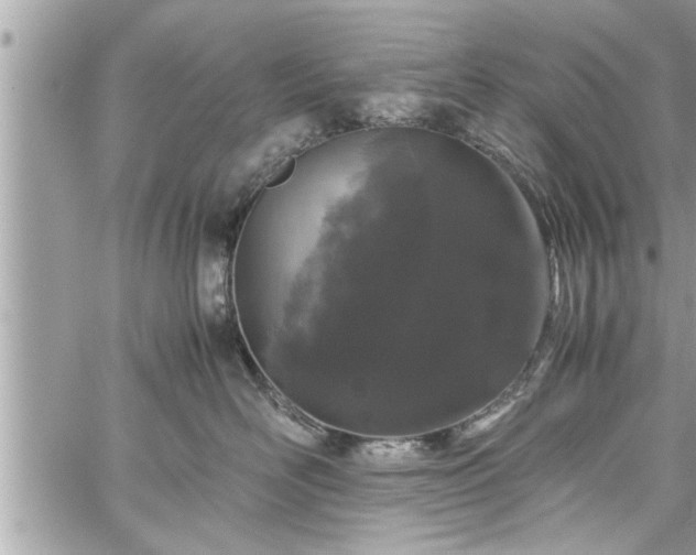 X0000060260526200511010916