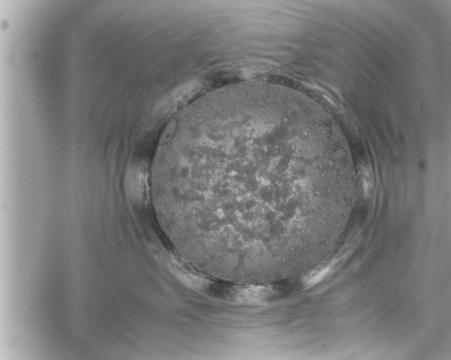 X0000060260527200511010916