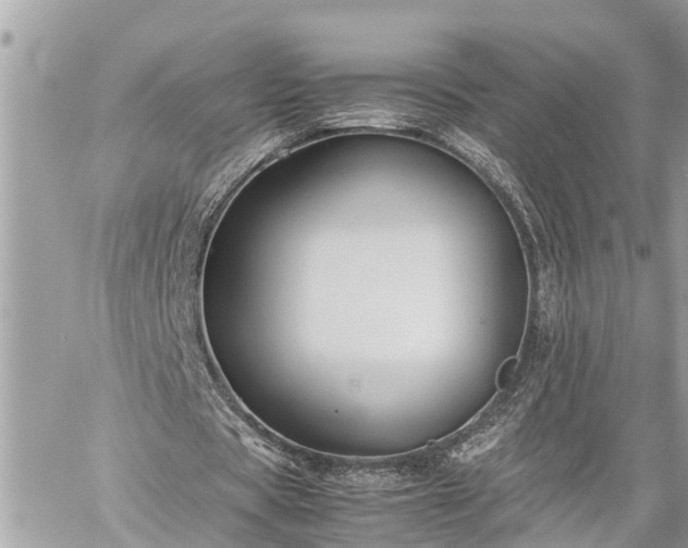 X0000060260529200511010915