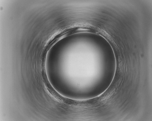 X0000060260530200511010915