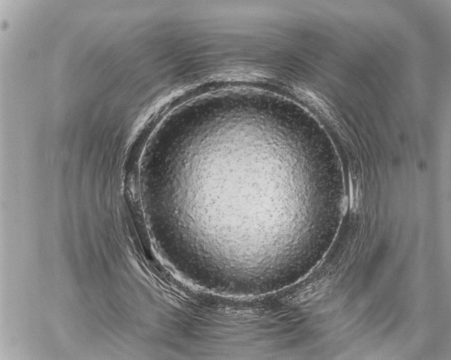 X0000060260531200511010915