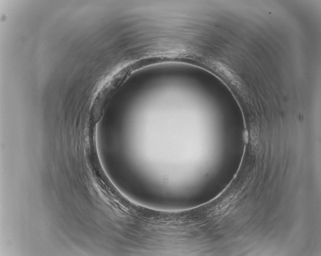 X0000060260532200511010915