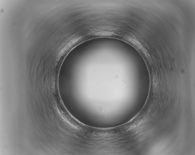 X0000060260533200511010915