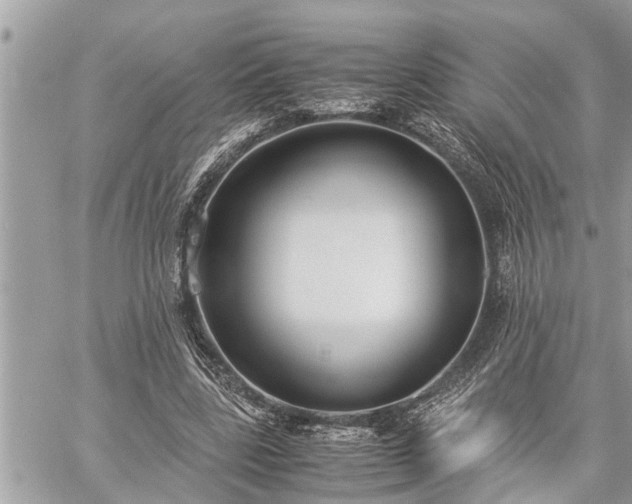 X0000060260539200511010915