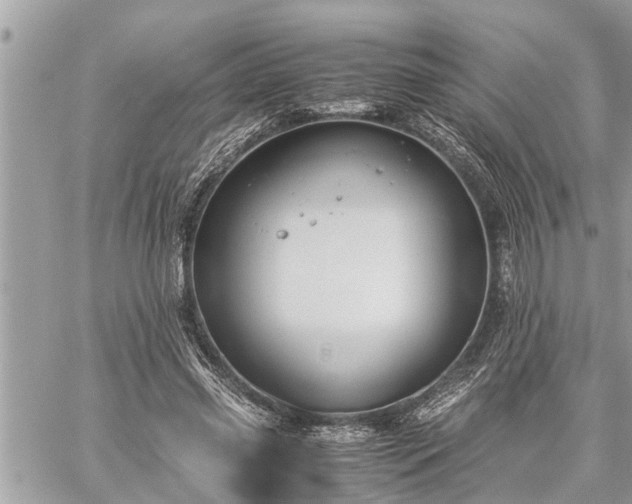 X0000060260541200511010915