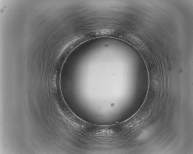 X0000060260543200511010915