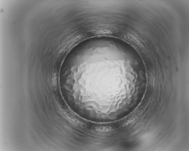 X0000060260549200511010916