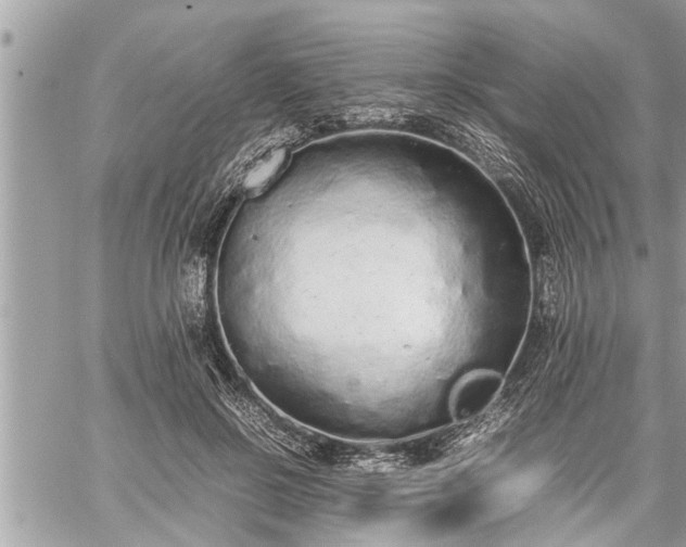 X0000060260550200511010916