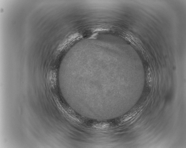 X0000060260551200511010916