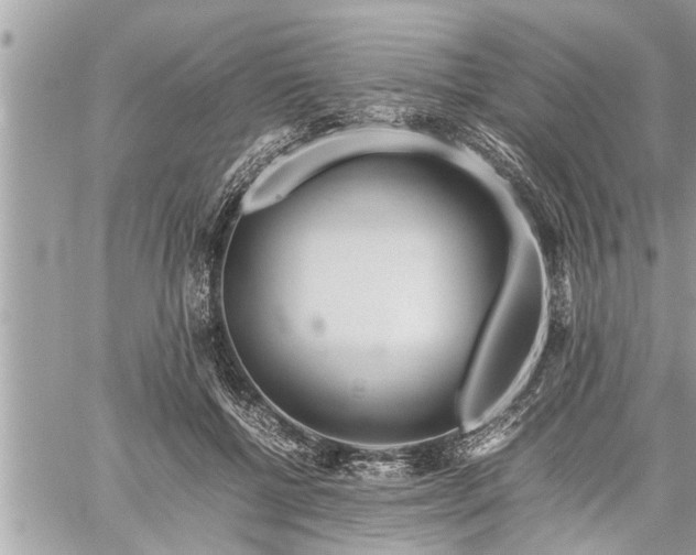 X0000060260552200511010916