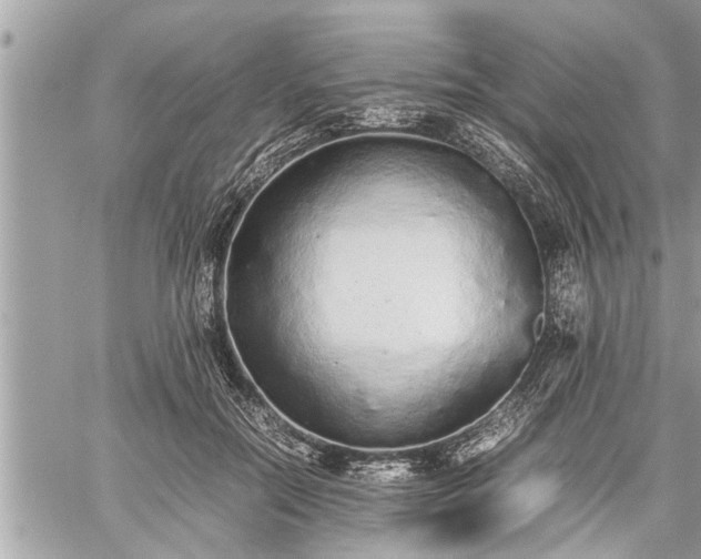 X0000060260554200511010916