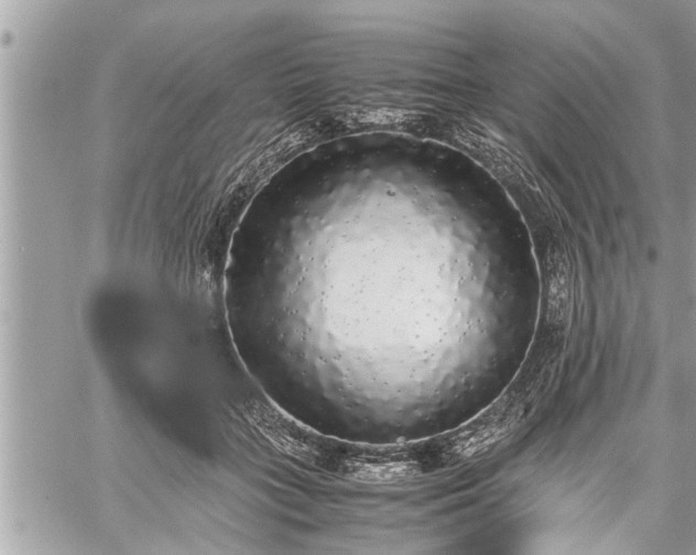 X0000060260555200511010916