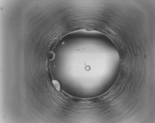 X0000060260556200511010916