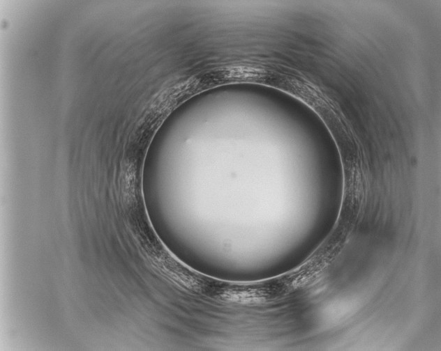 X0000060260557200511010916