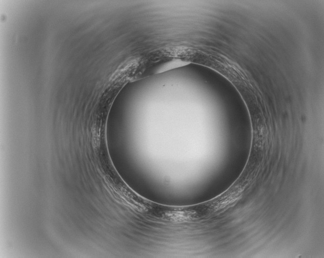 X0000060260558200511010916