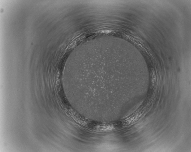 X0000060260559200511010916