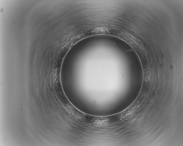 X0000060260560200511010916